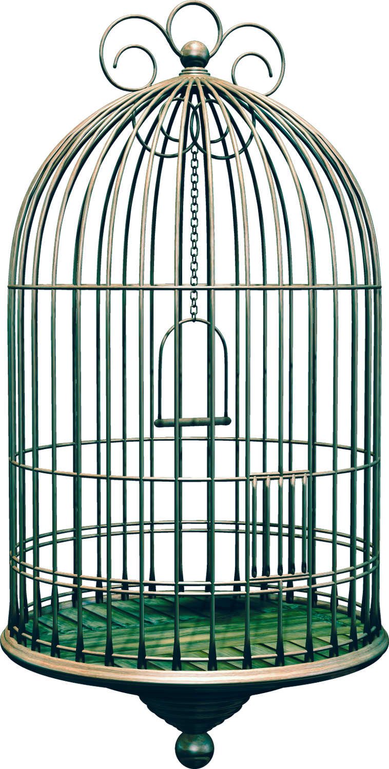 Bird Cages